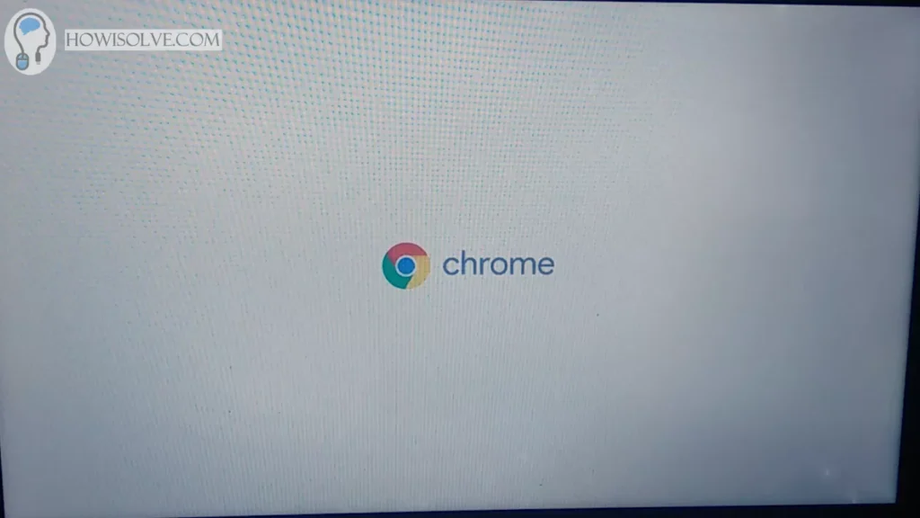 Chrome OS Flex Booting